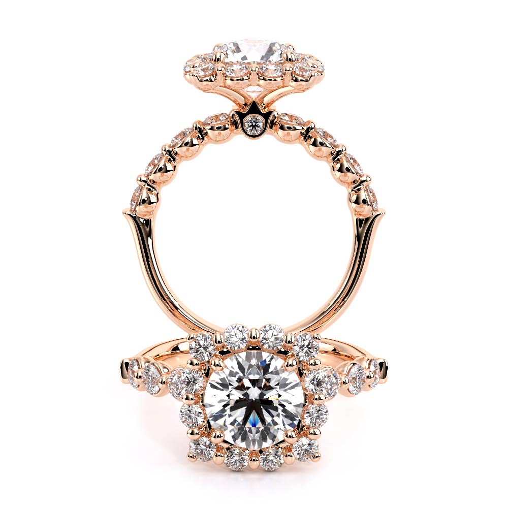 style-image-rose-2207-1708552376-192-V-990-2_5-CU-HALO-Rose-Pics-S_00000.jpg