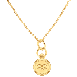 Aquarius Zodiac Charm Necklace