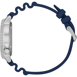 Promaster Dive