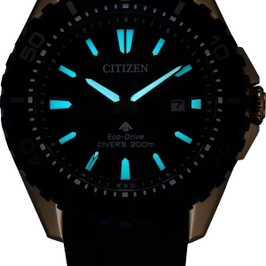 Promaster Dive
