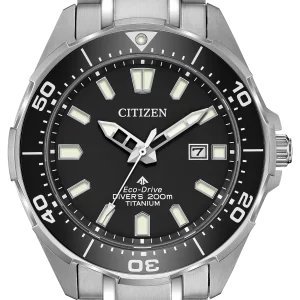 Promaster Dive