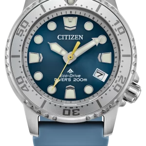 Promaster Dive