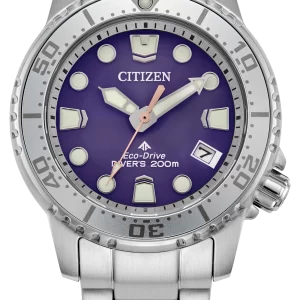 Promaster Dive