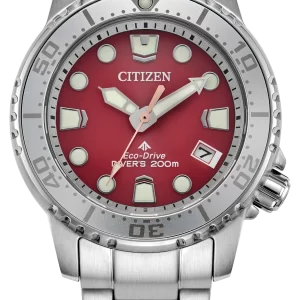 Promaster Dive
